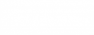 Kommunikationstrainer und Vertriebstrainer